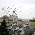 Local Galleries in oxford